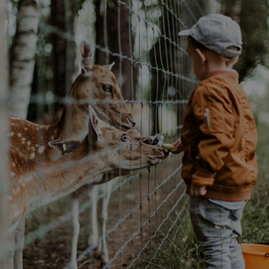 Zoos